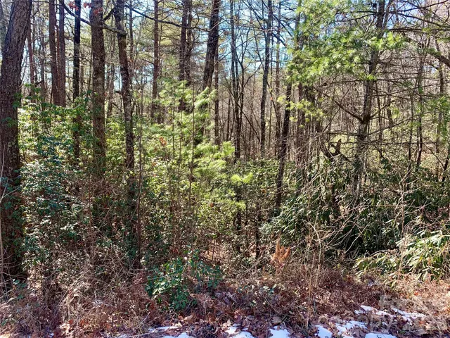$15,500 | Lot 18 Oak Rdg Drive, Unit 18, Brevard, NC 28712