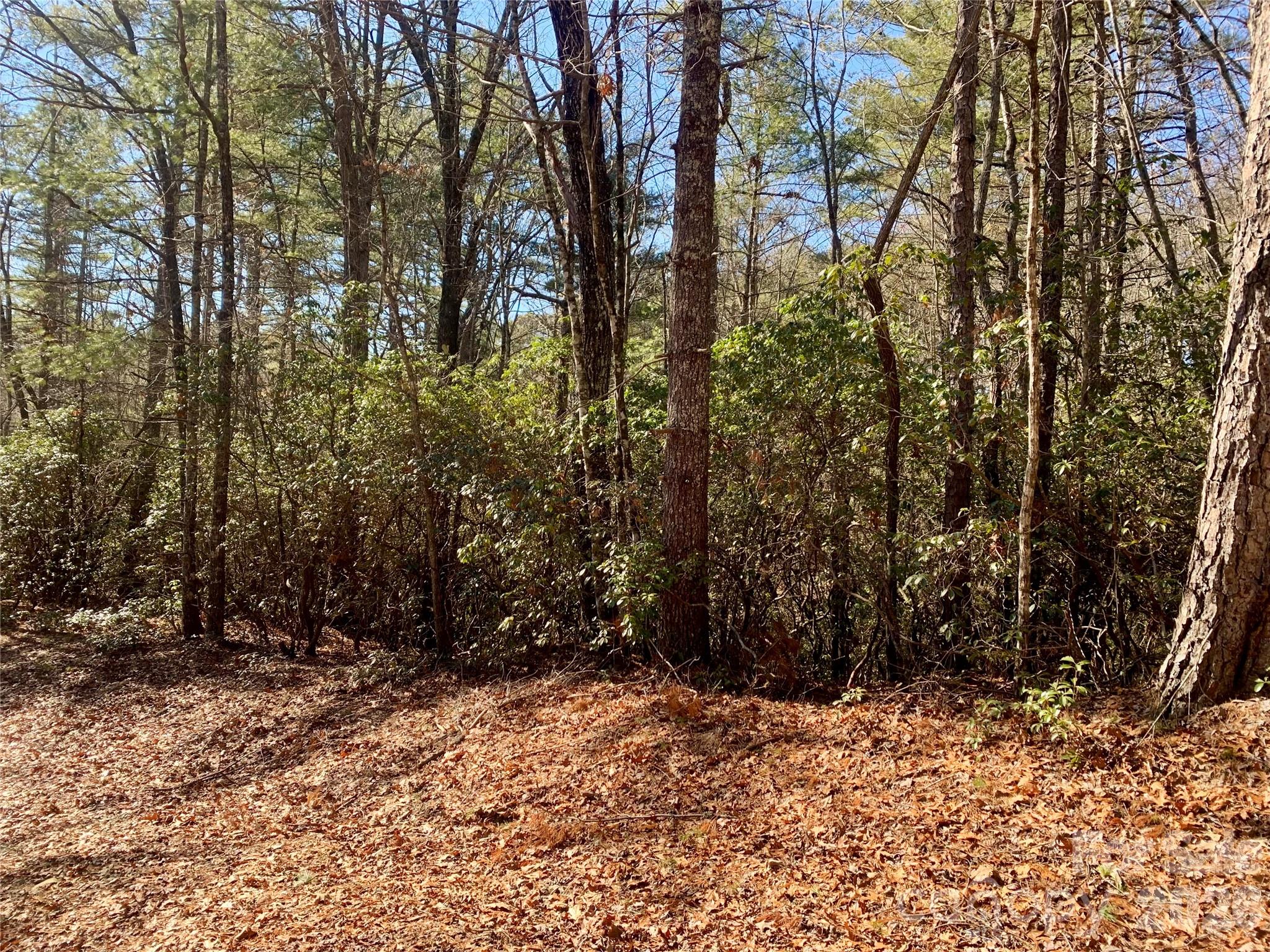 Lot 18 Oak Rdg Drive, Unit 18 Mebane, NC 27302 - Photo 4 of 7