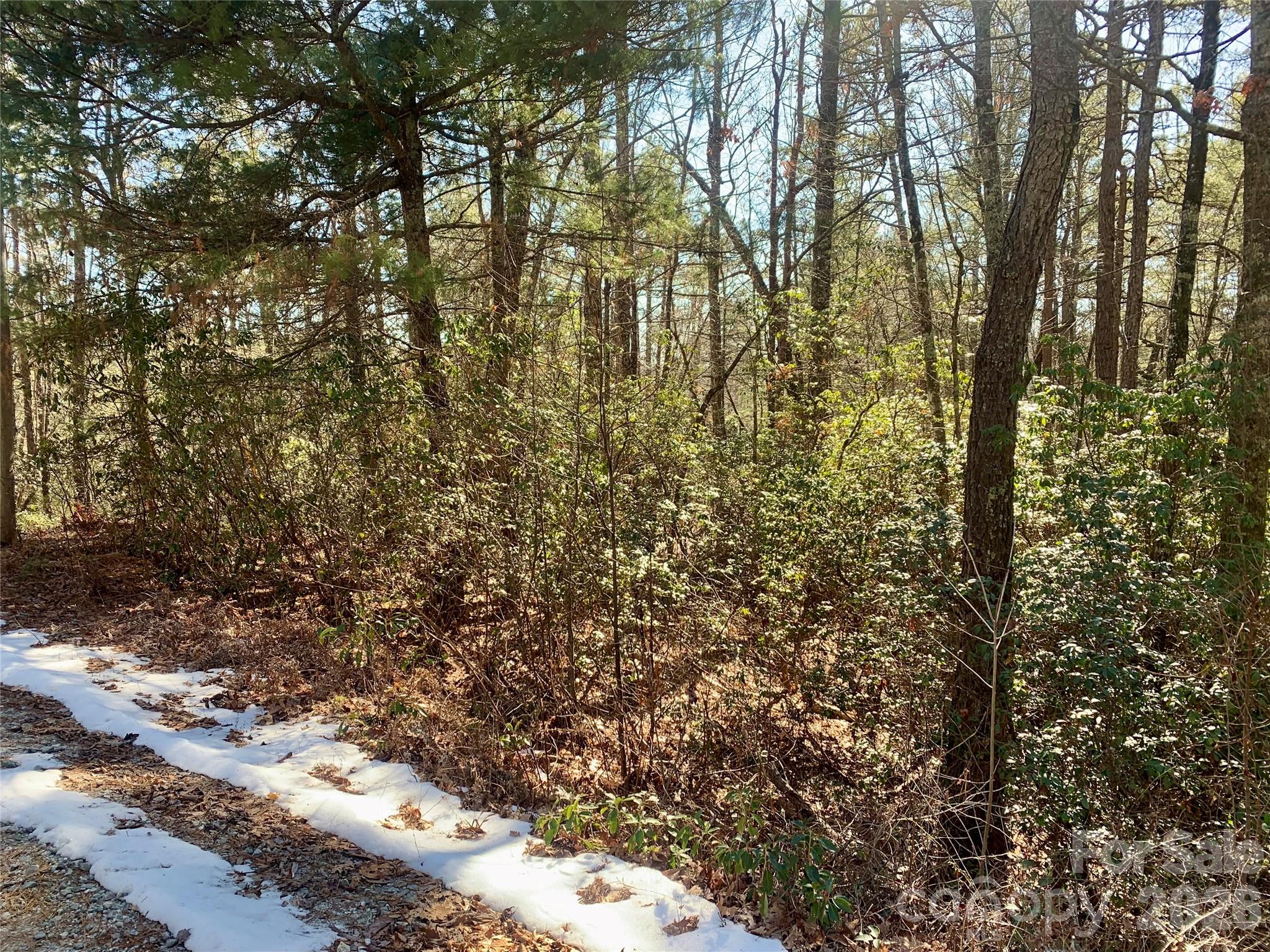 Lot 18 Oak Rdg Drive, Unit 18 Mebane, NC 27302 - Photo 5 of 7