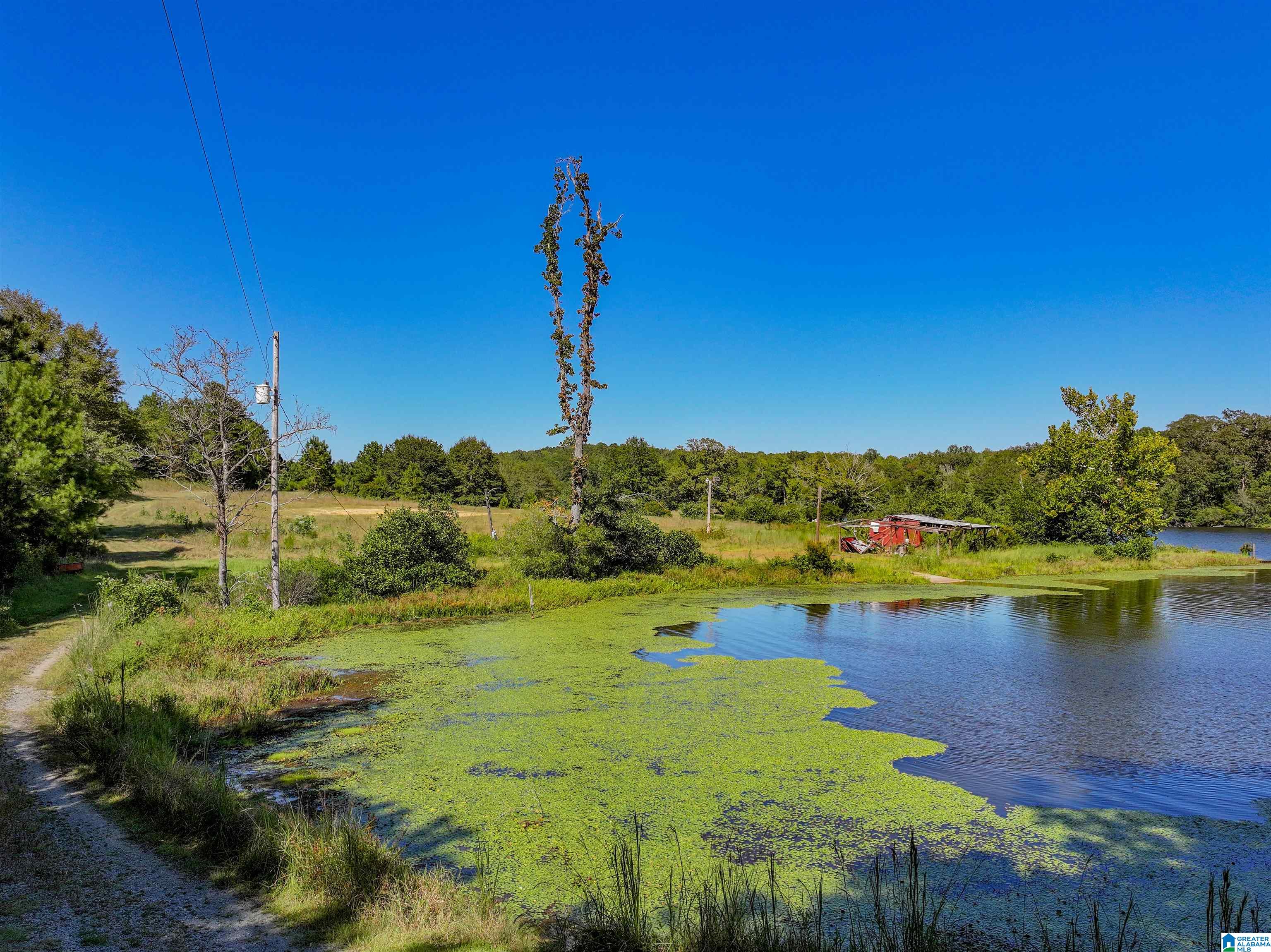 0 Rockyview Road West Blocton, AL 35184 - Photo 11 of 13