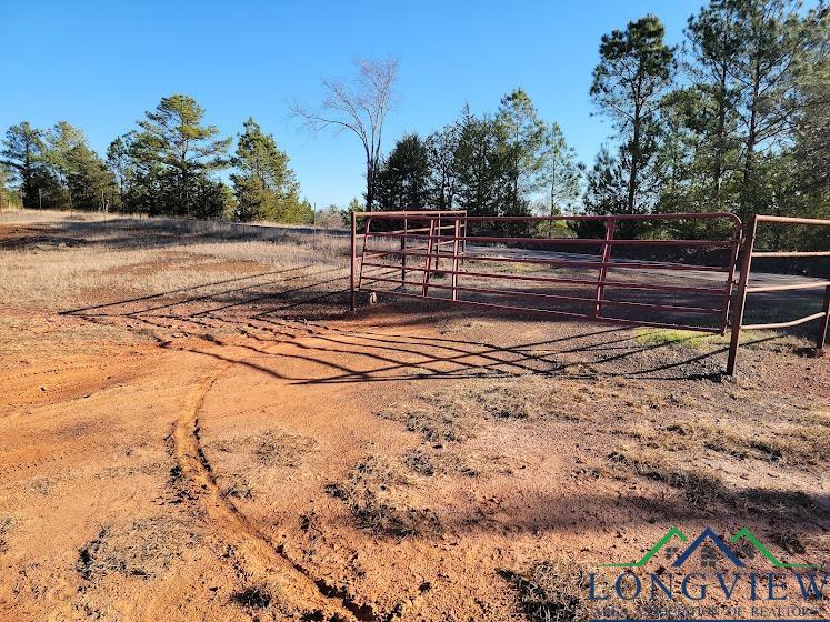 3372 Red Maple Road Big Sandy, TX 75755 - Photo 3 of 34 Gallery Image 3