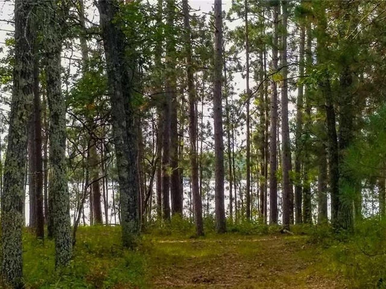 Lot 5 Other Rhinelander, WI 54501 - Photo 1 of 7 Gallery Image 1