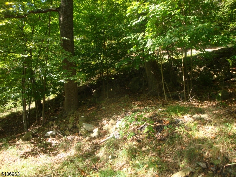 207 Hudson Avenue Hopatcong, NJ 07843 - Photo 4 of 9