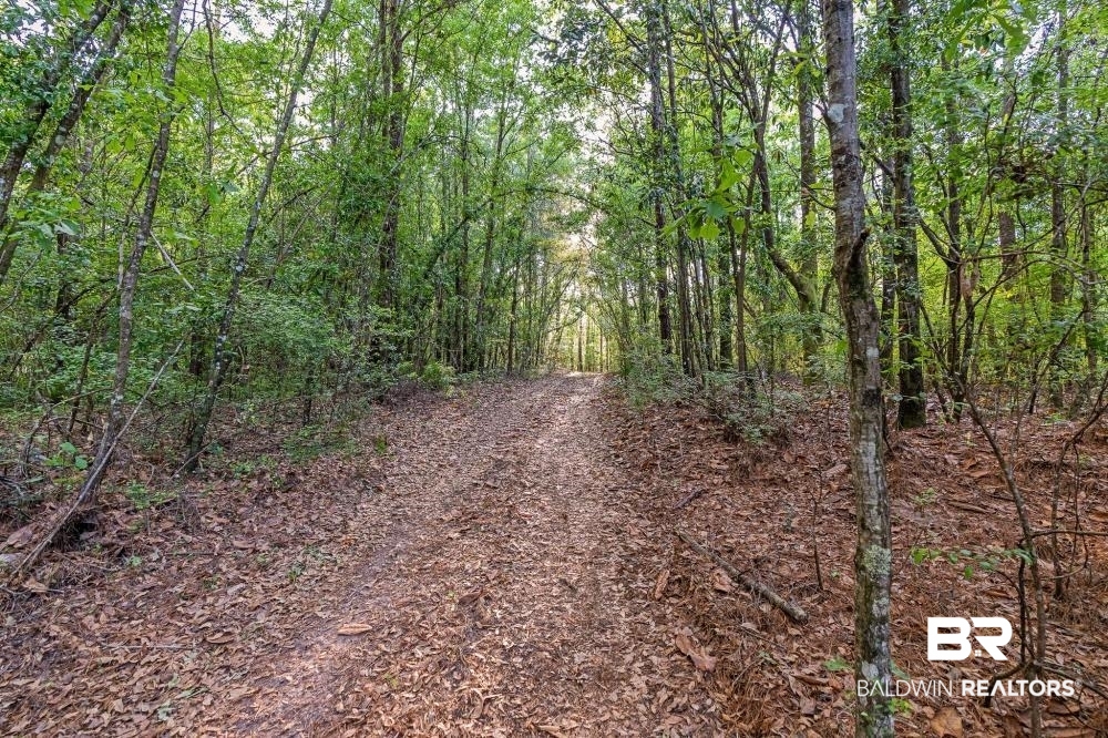 11100 Kali Oka Road Eight Mile, AL 36613 - Photo 16 of 49