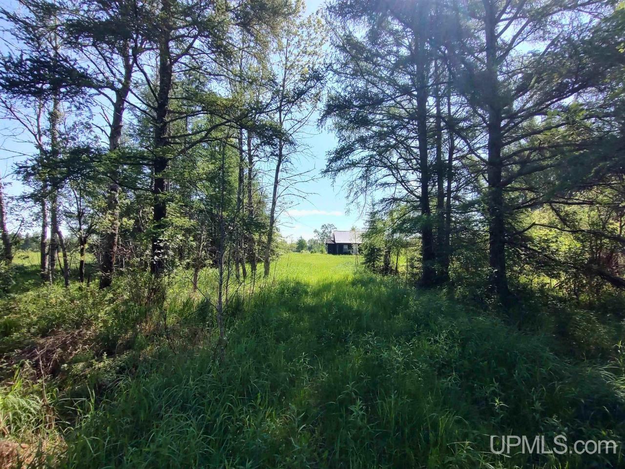 14752 Airport Road Rock, MI 49880 - Photo 20 of 26