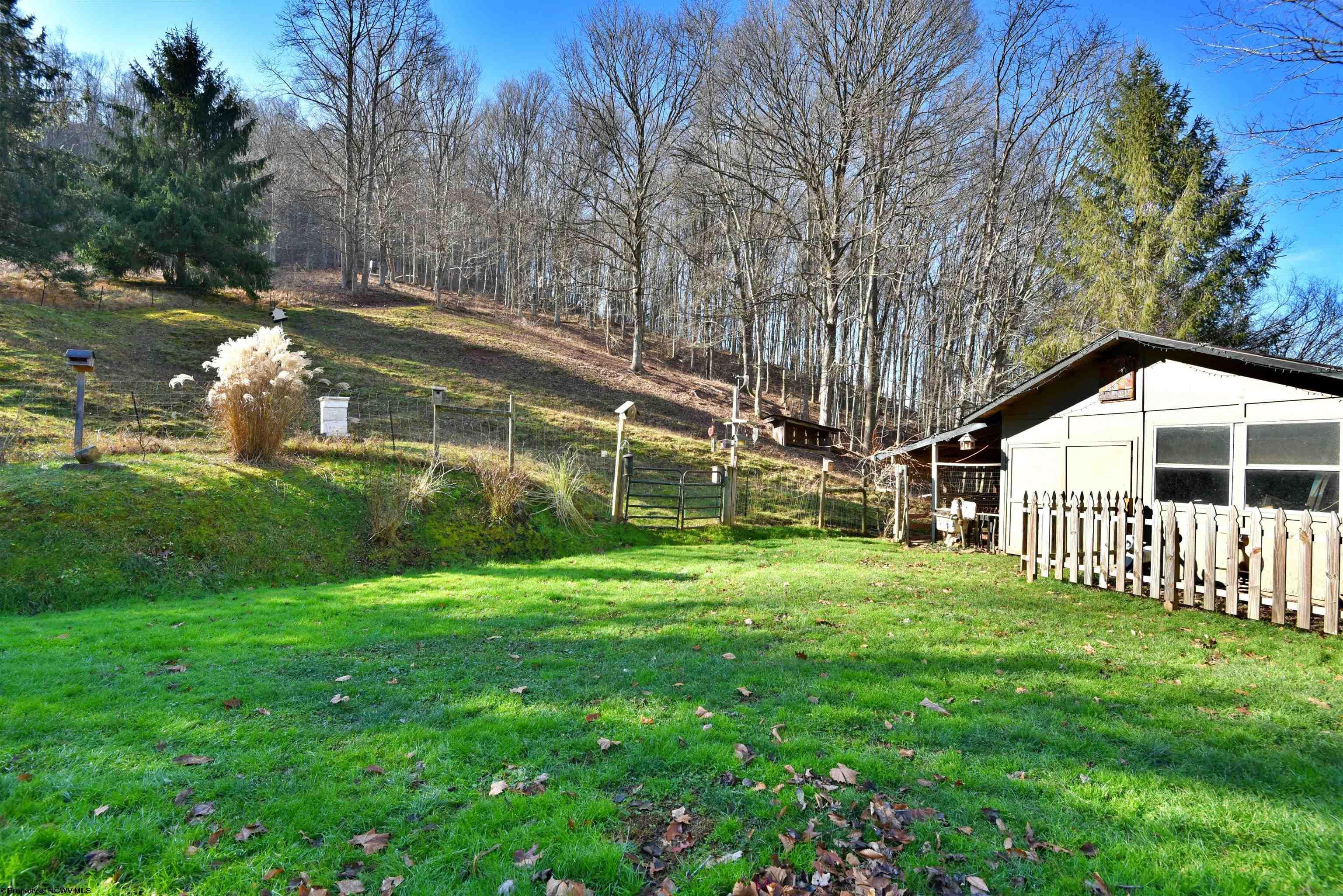 1094 Traugh Fork Road Salem, WV 26426 - Photo 19 of 25 Gallery Image 19