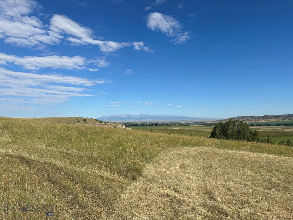 Tbd Lower Deer Creek Road Big Timber, MT 59011 - Photo 19 of 42 Gallery Image 19