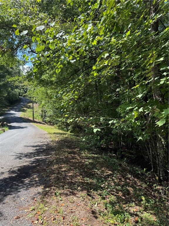 1707 Rebekah Ridge Road Talking Rock, GA 30175 - Photo 10 of 12 Gallery Image 10