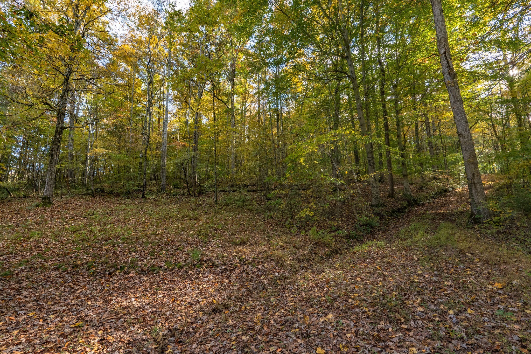 7825 Fernvale Road Fairview, TN 37062 - Photo 2 of 15 a view of outdoor space and view