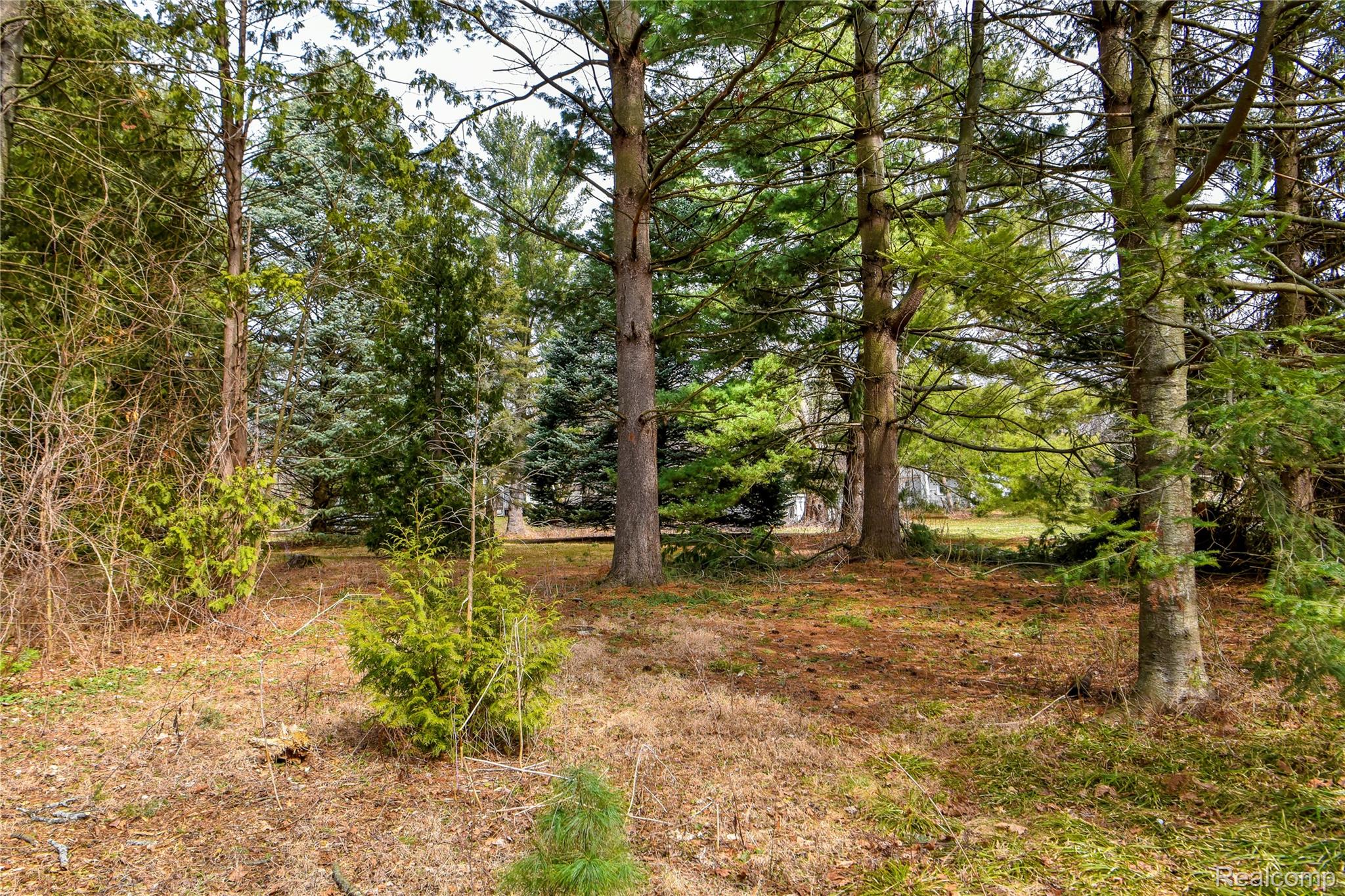 Lot 64 Merry Road Waterford, MI 48328 - Photo 20 of 26 1493 Vacant Lot for MLS (20).jpg