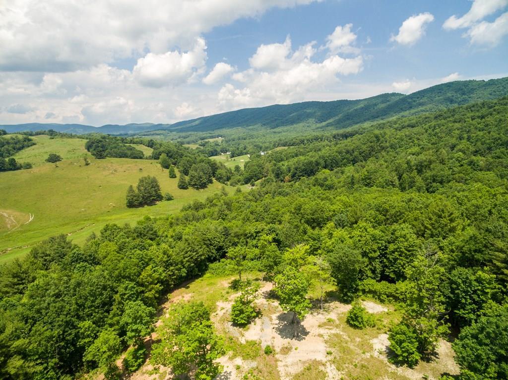 Lot 4 Gem Stream Road, Unit 4 Elk Creek, VA 24326 - Photo 2 of 33 Gallery Image 2