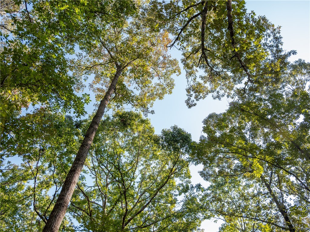 2 Gibson Road Anderson, SC 29625 - Photo 13 of 17
