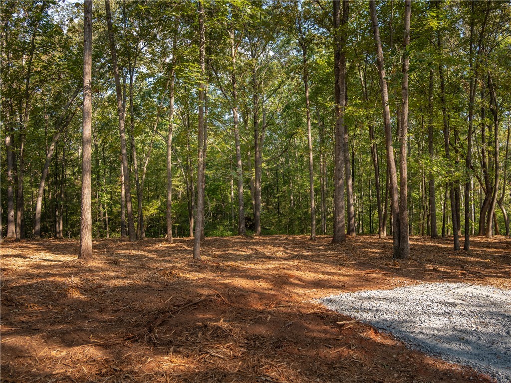 2 Gibson Road Anderson, SC 29625 - Photo 4 of 17