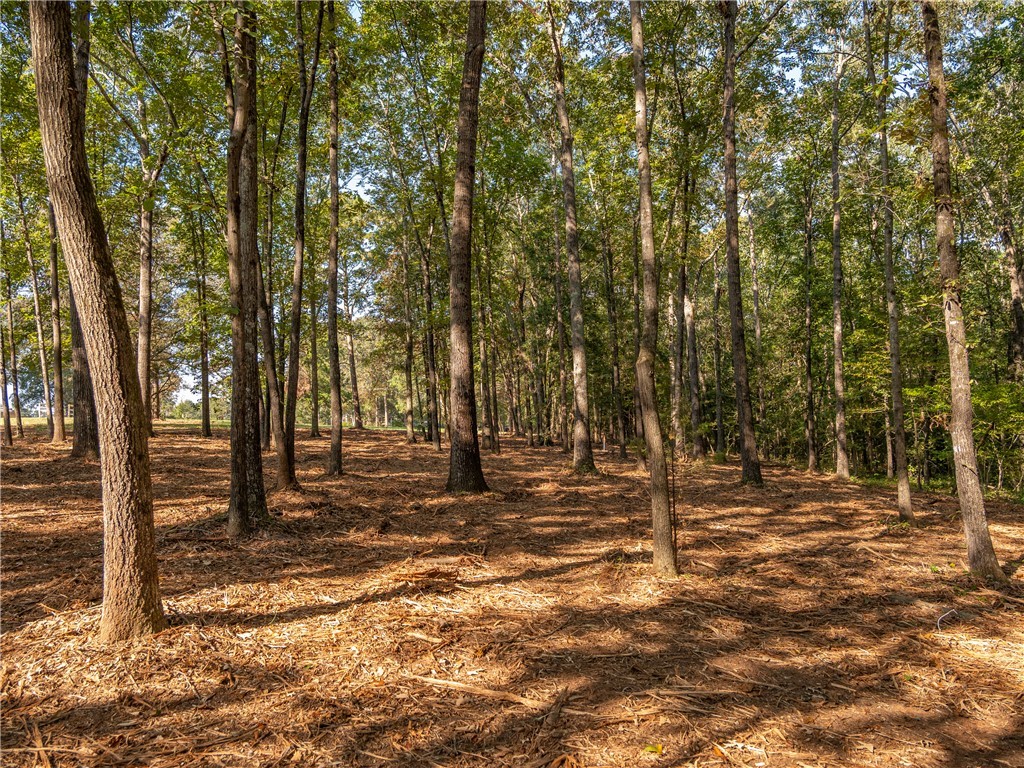 2 Gibson Road Anderson, SC 29625 - Photo 6 of 17