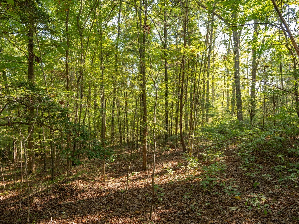 2 Gibson Road Anderson, SC 29625 - Photo 7 of 17