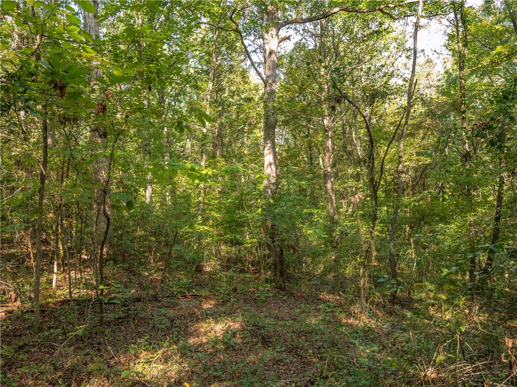 2 Gibson Road Anderson, SC 29625 - Photo 8 of 17