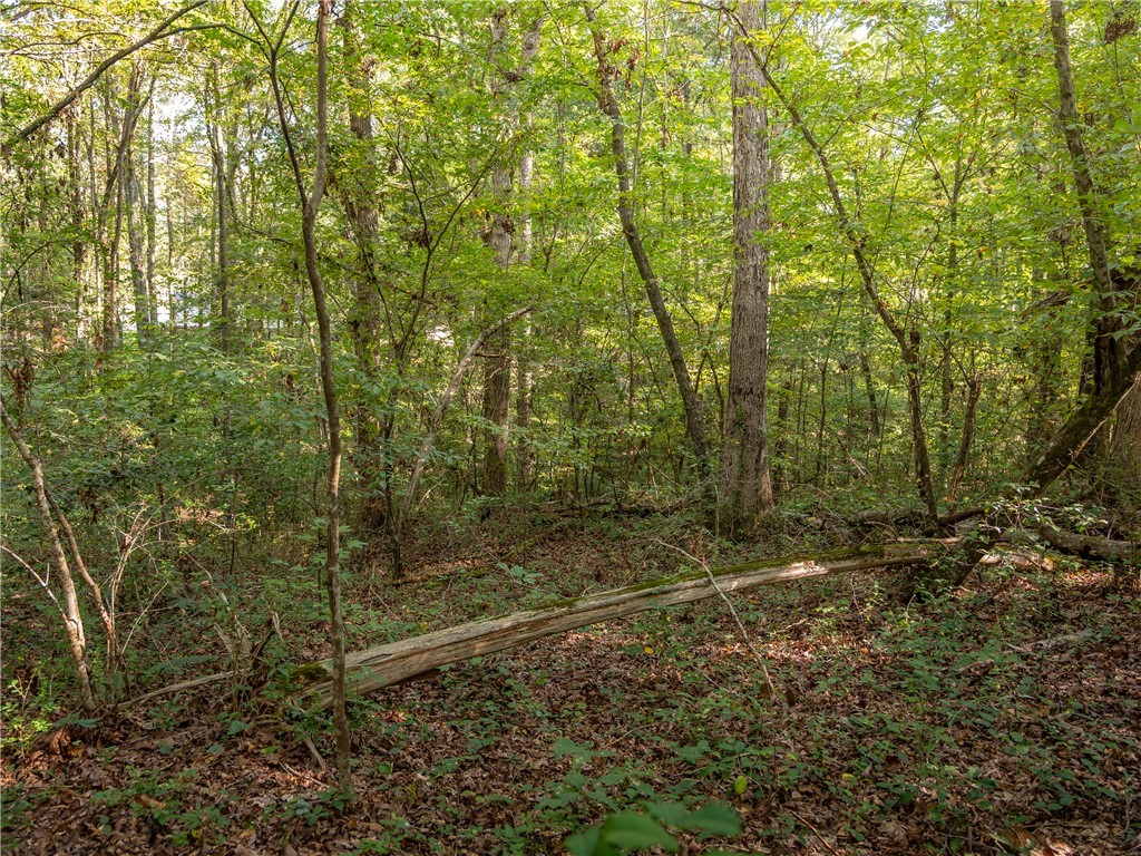 2 Gibson Road Anderson, SC 29625 - Photo 9 of 17