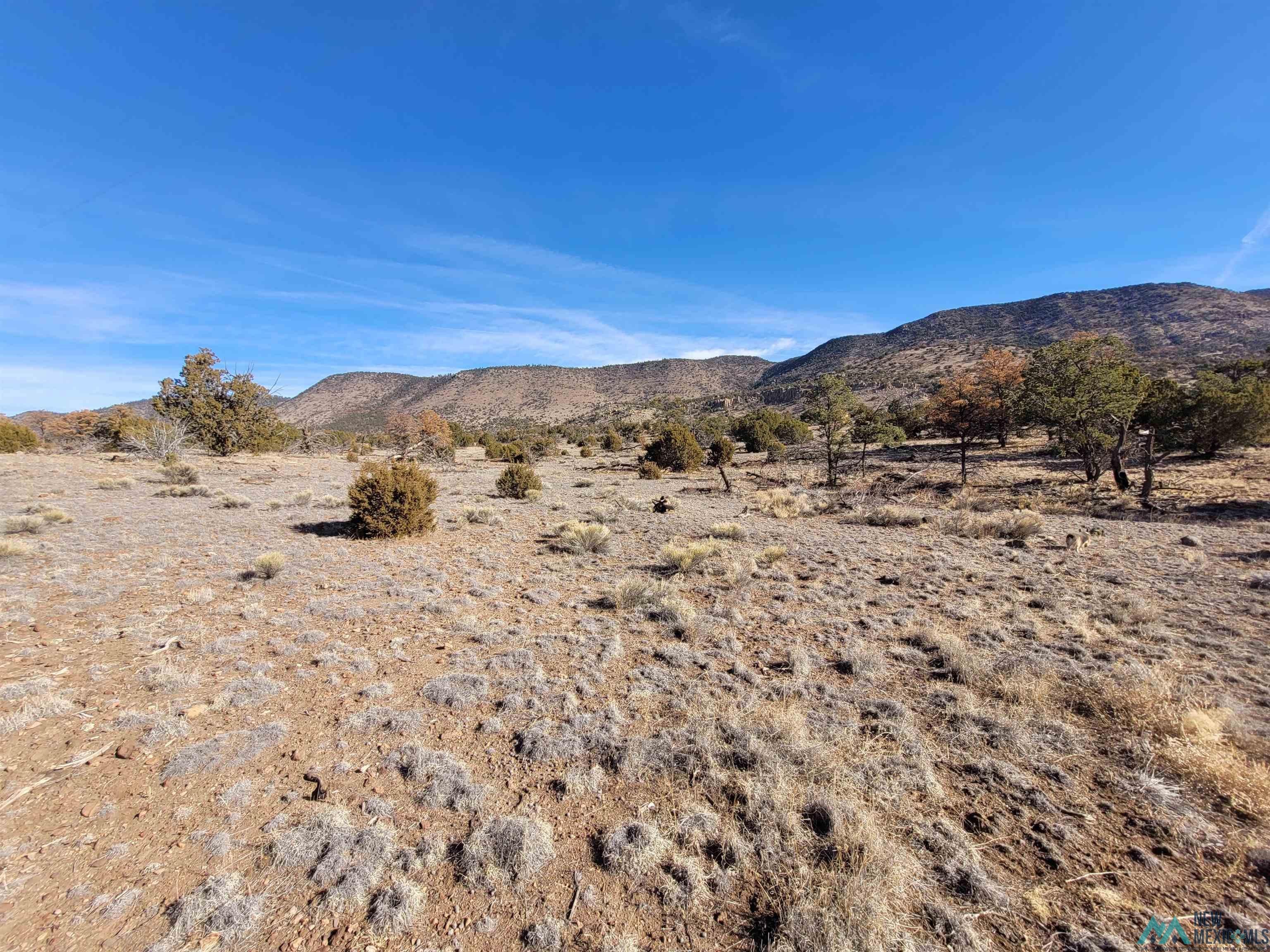 235 Sugarloaf Trail Datil, NM 87821 - Photo 9 of 48 Gallery Image 9