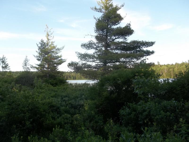 Xx Xx Western Lake Road Robbinston, ME 04671 - Photo 3 of 4 100_8713