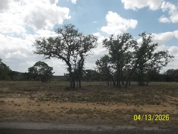 a view of a yard with large trees