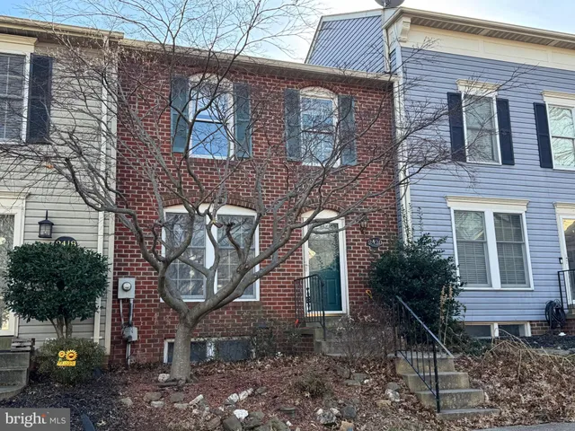 a backyard of a house with potted plants and large tree