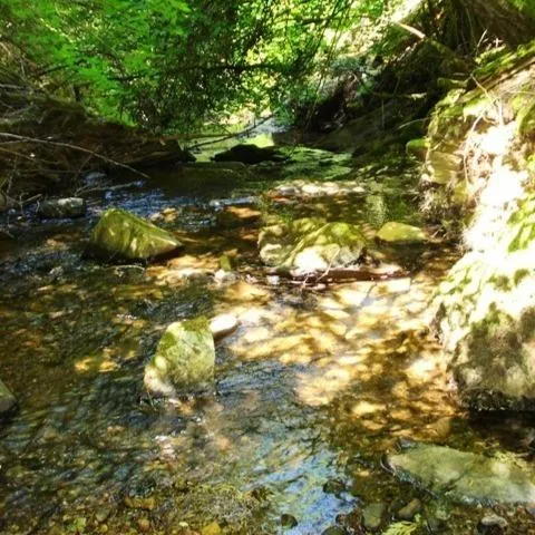 $173,000 | 46 Ringtail Road, Georgetown, CA 95634