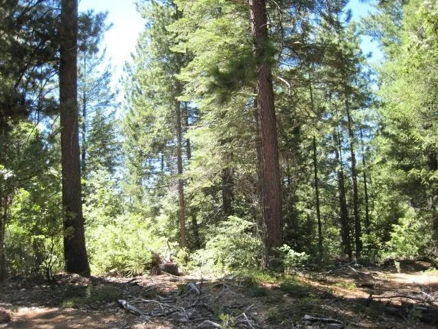 $173,000 | 46 Ringtail Road, Georgetown, CA 95634