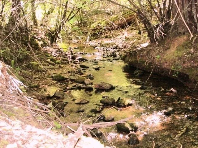 $173,000 | 46 Ringtail Road, Georgetown, CA 95634