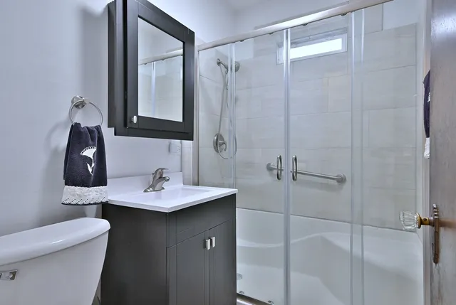 a bathroom with a sink toilet and vanity