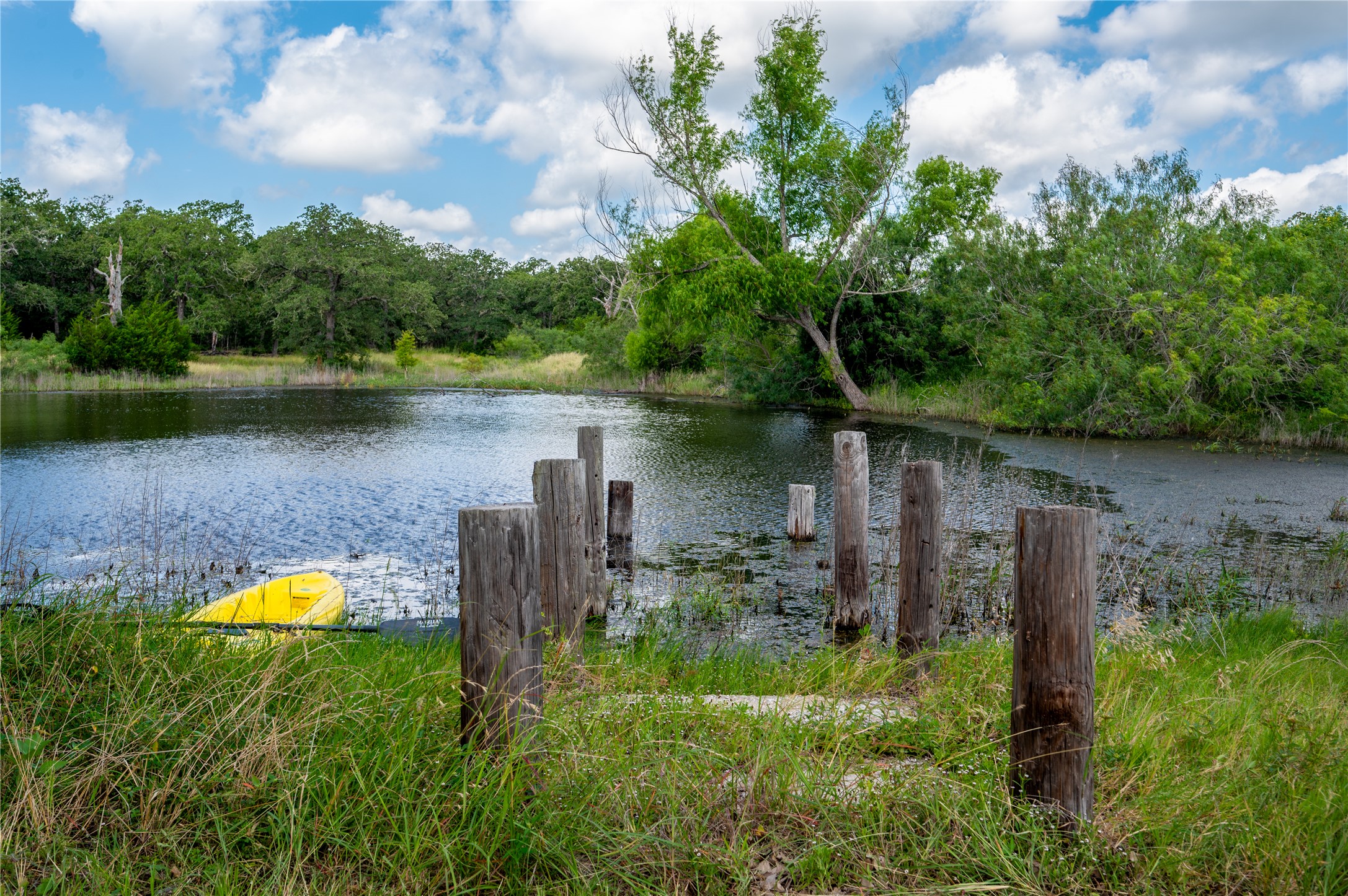 270 Dry Creek Road Manor, TX 78653 - Photo 25 of 40 A tranquil pond awaits, surrounded by lush natural foliage under an expansive blue sky.