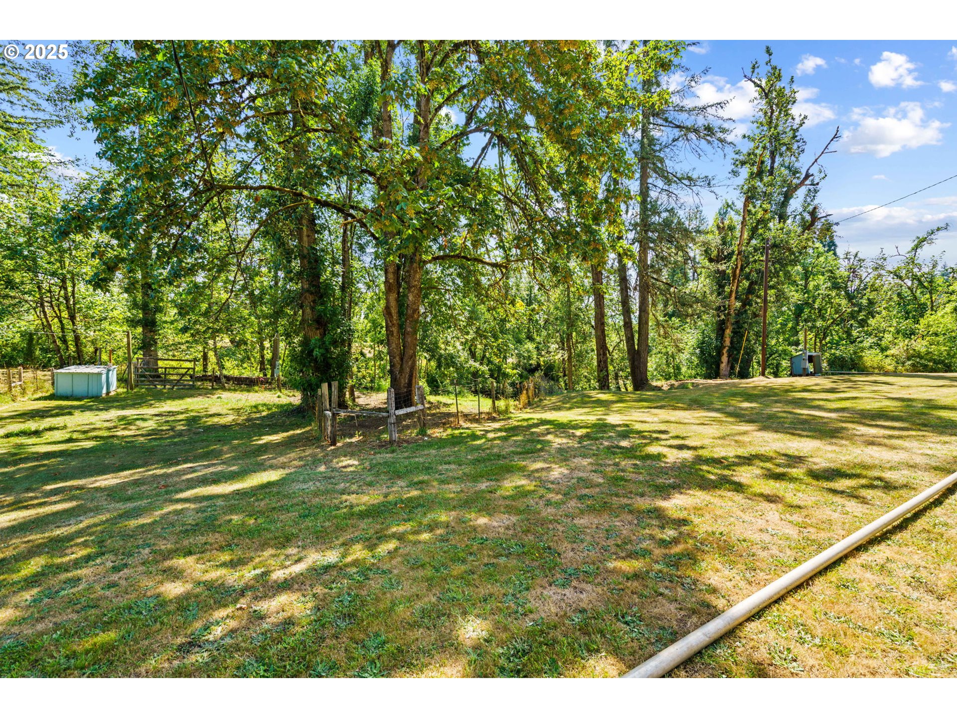 37276 Camp Creek Road Springfield, OR 97478 - Photo 36 of 44