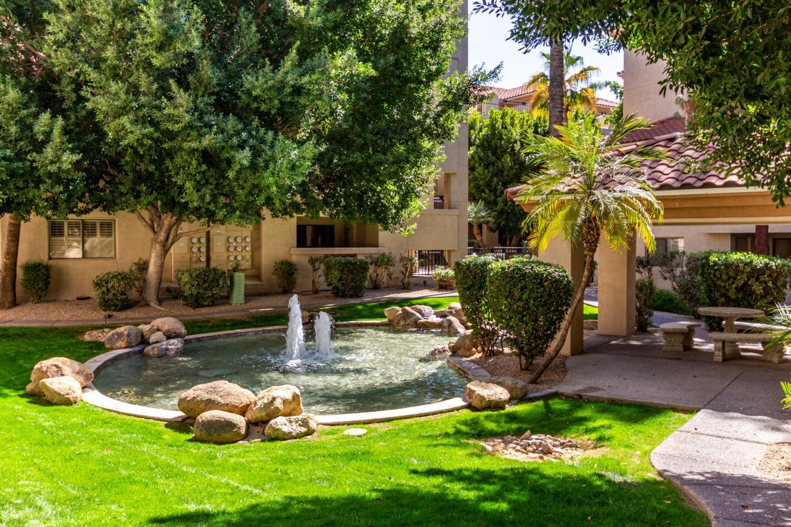5104 North 32nd Street, Unit 225 Phoenix, AZ 85018 - Photo 29 of 31 a view of a backyard with plants and a patio