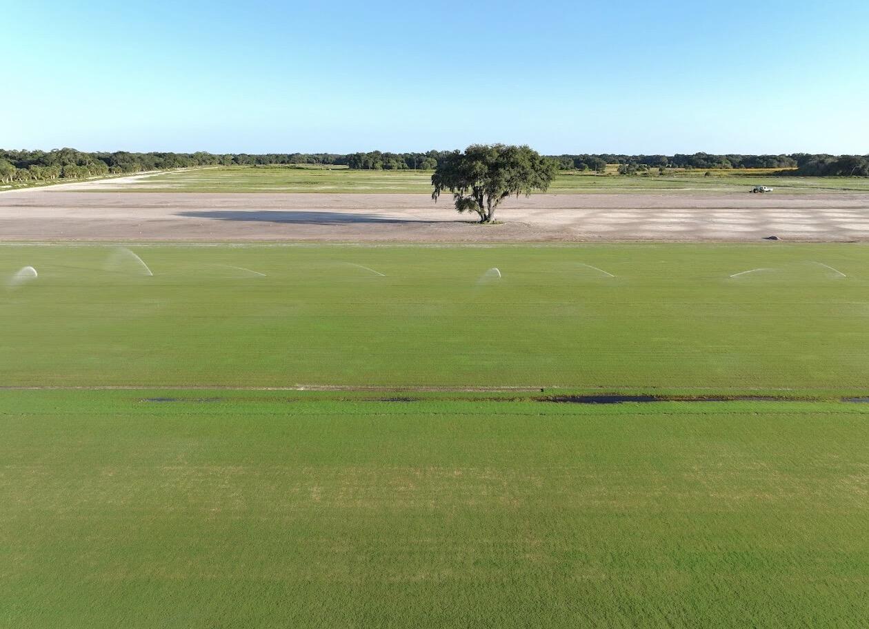 0 Hill Grade Road Clewiston, FL 33440 - Photo 8 of 17 IMG_6188