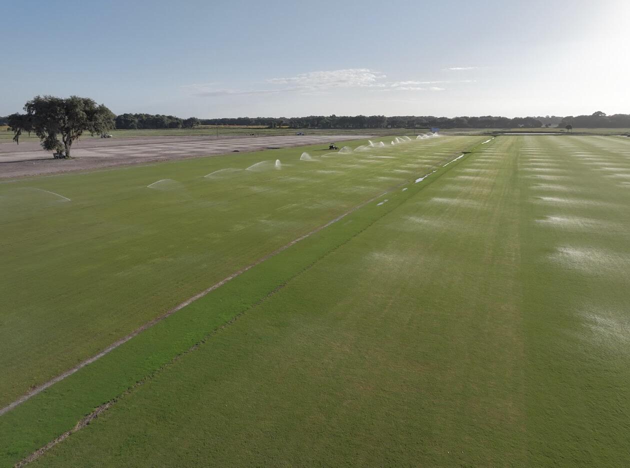 0 Hill Grade Road Clewiston, FL 33440 - Photo 9 of 17 IMG_6189