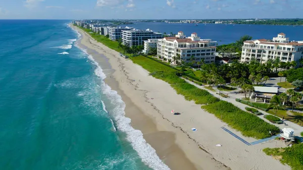 a view of a yard with plants