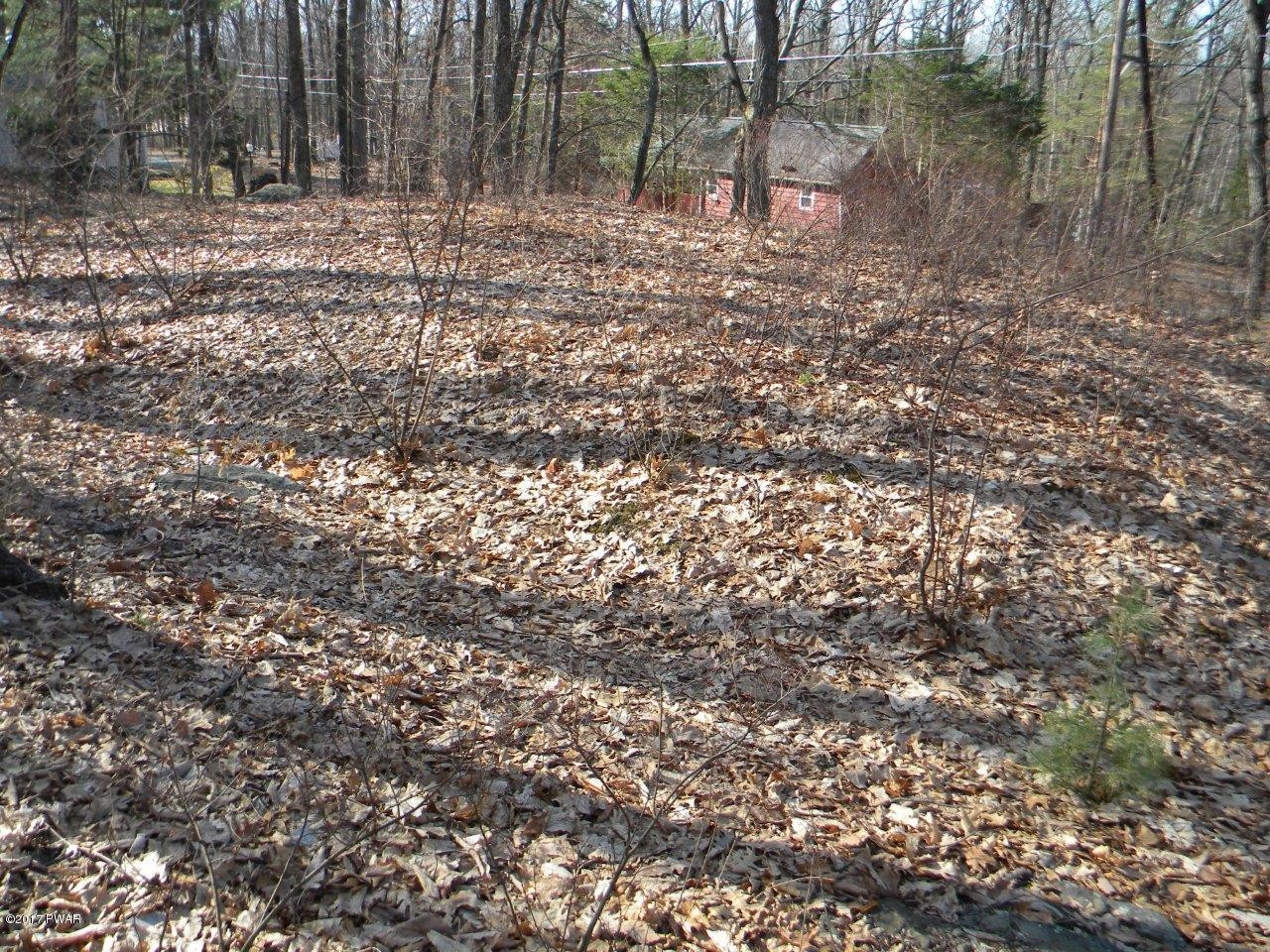 West Road Hawley, PA 18428 - Photo 3 of 6