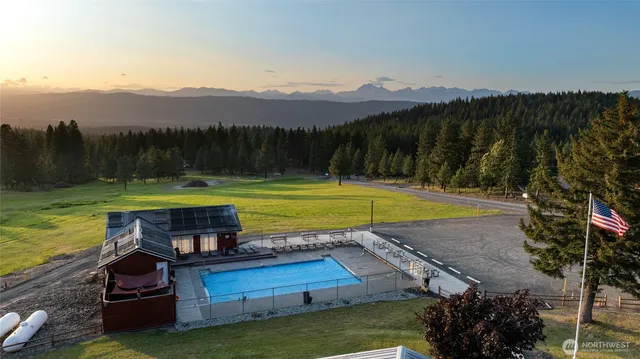 a view of a swimming pool with a yard and a large tree