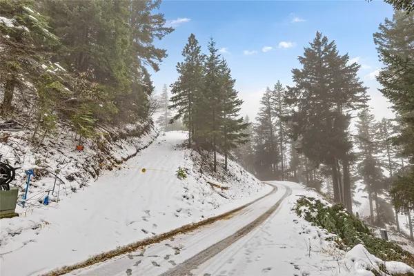 a view of a dry yard with wooden fence
