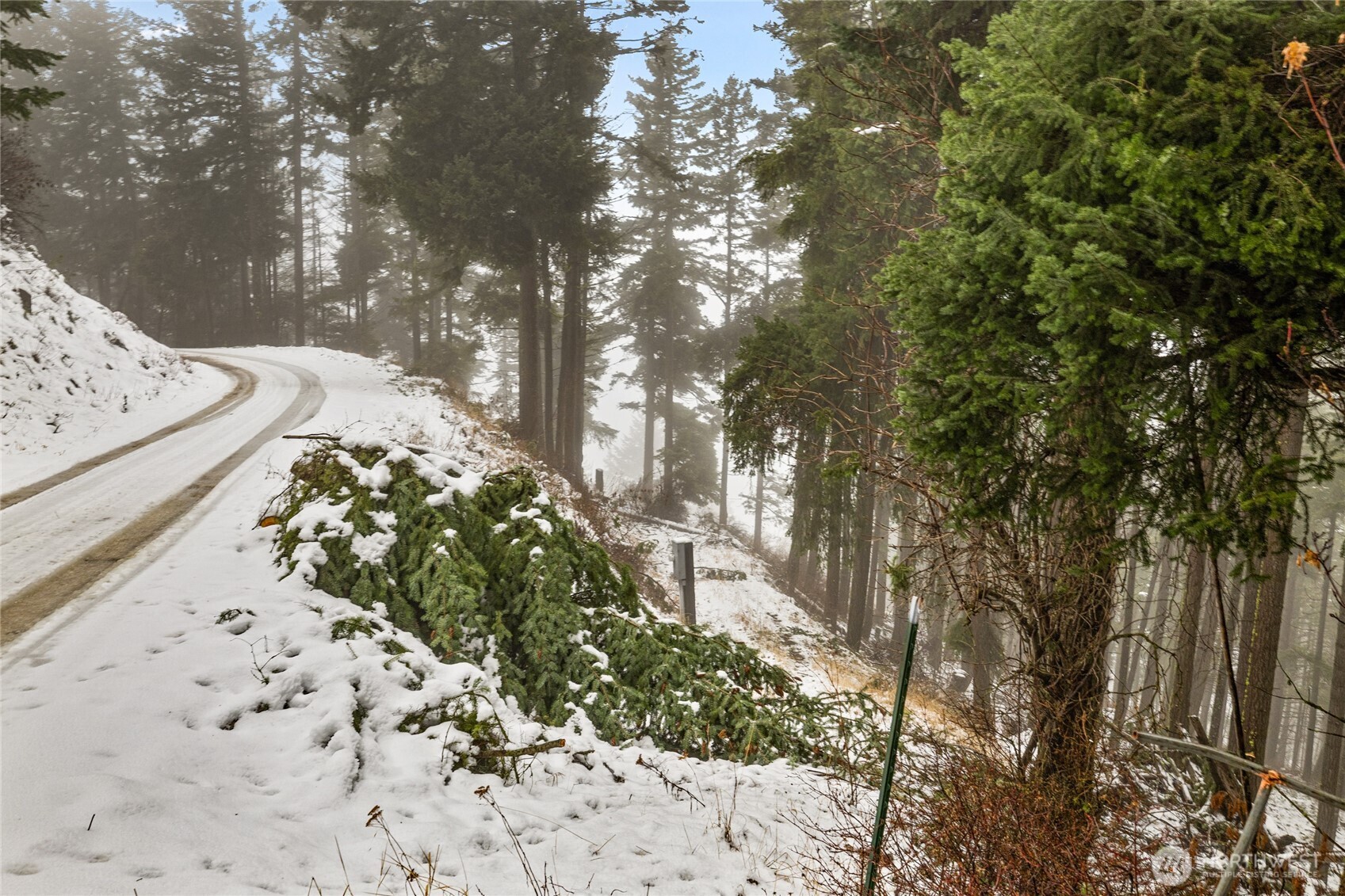 80-lot Skull Springs Road Cle Elum, WA 98922 - Photo 15 of 33