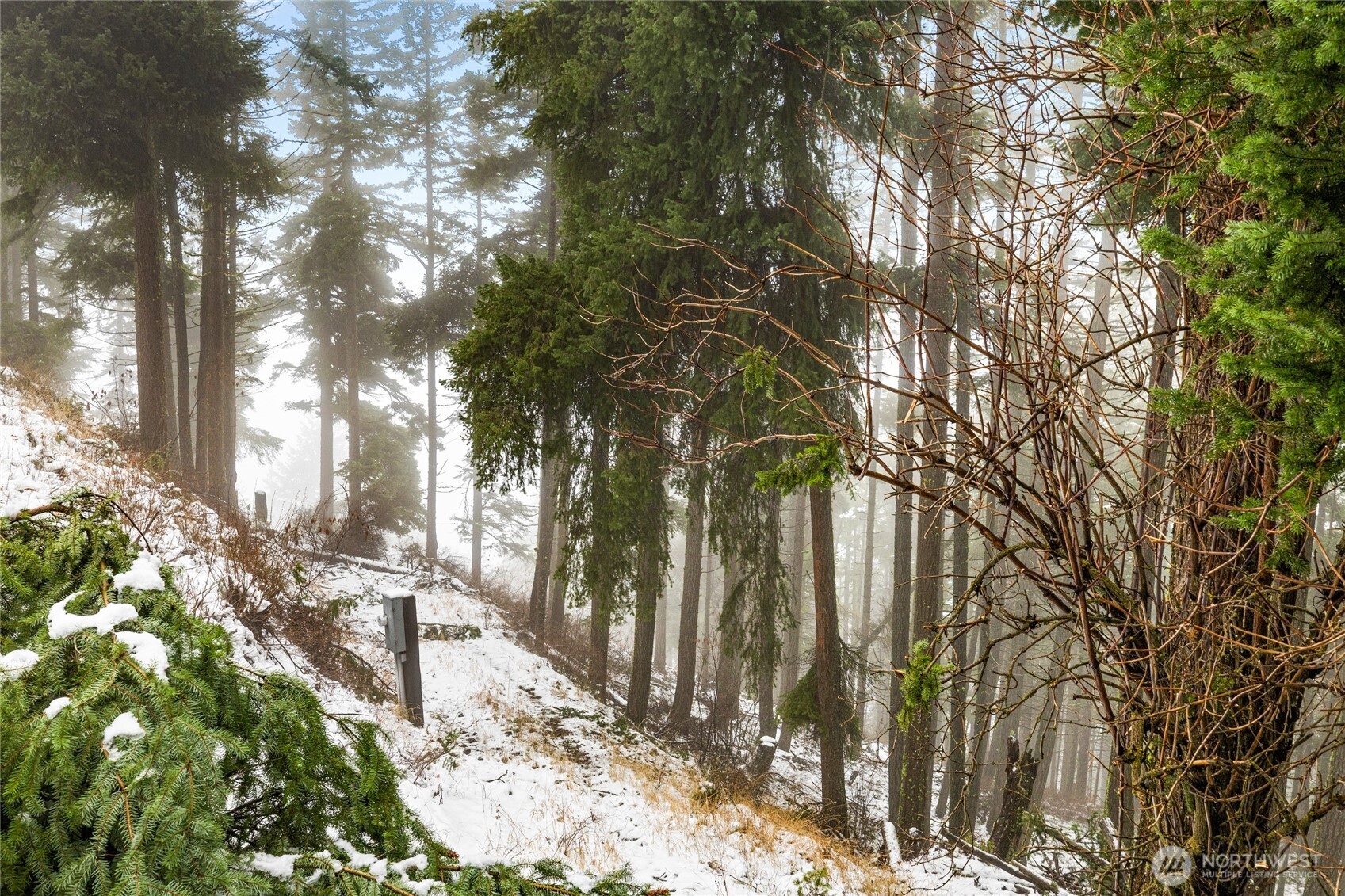 80-lot Skull Springs Road Cle Elum, WA 98922 - Photo 16 of 33