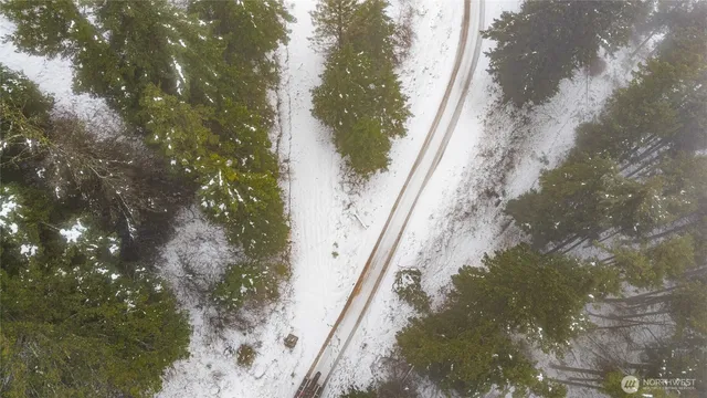 a view of a plant in a balcony