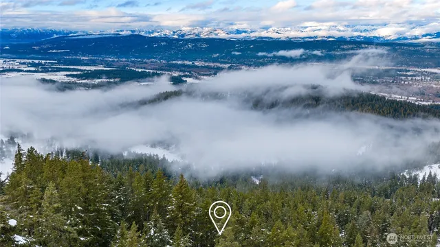 a view of a lake in middle of the forest