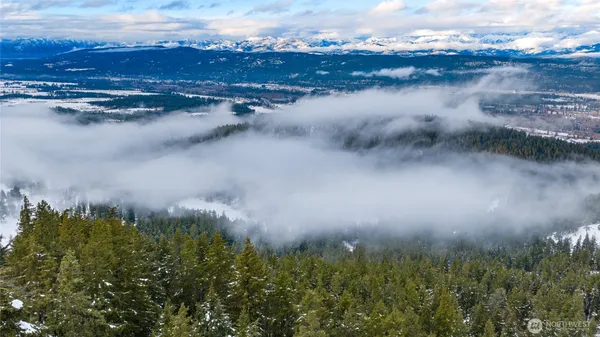 a view of a lake in middle of the forest