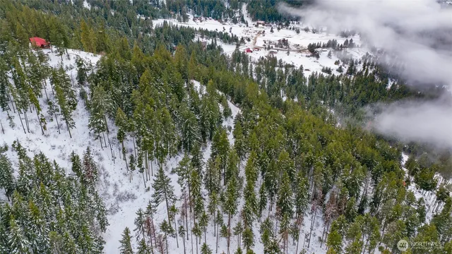 a view of a lake with a mountain