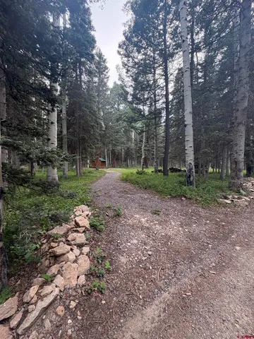 a view of a backyard with trees