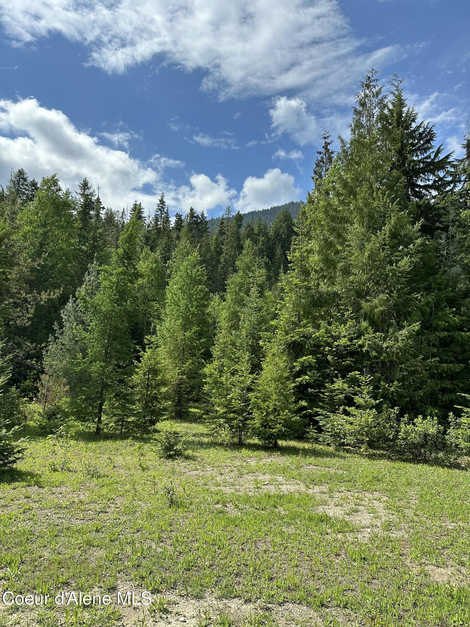 5784 River Road Clark Fork, ID 83811 - Photo 5 of 11 More building sites