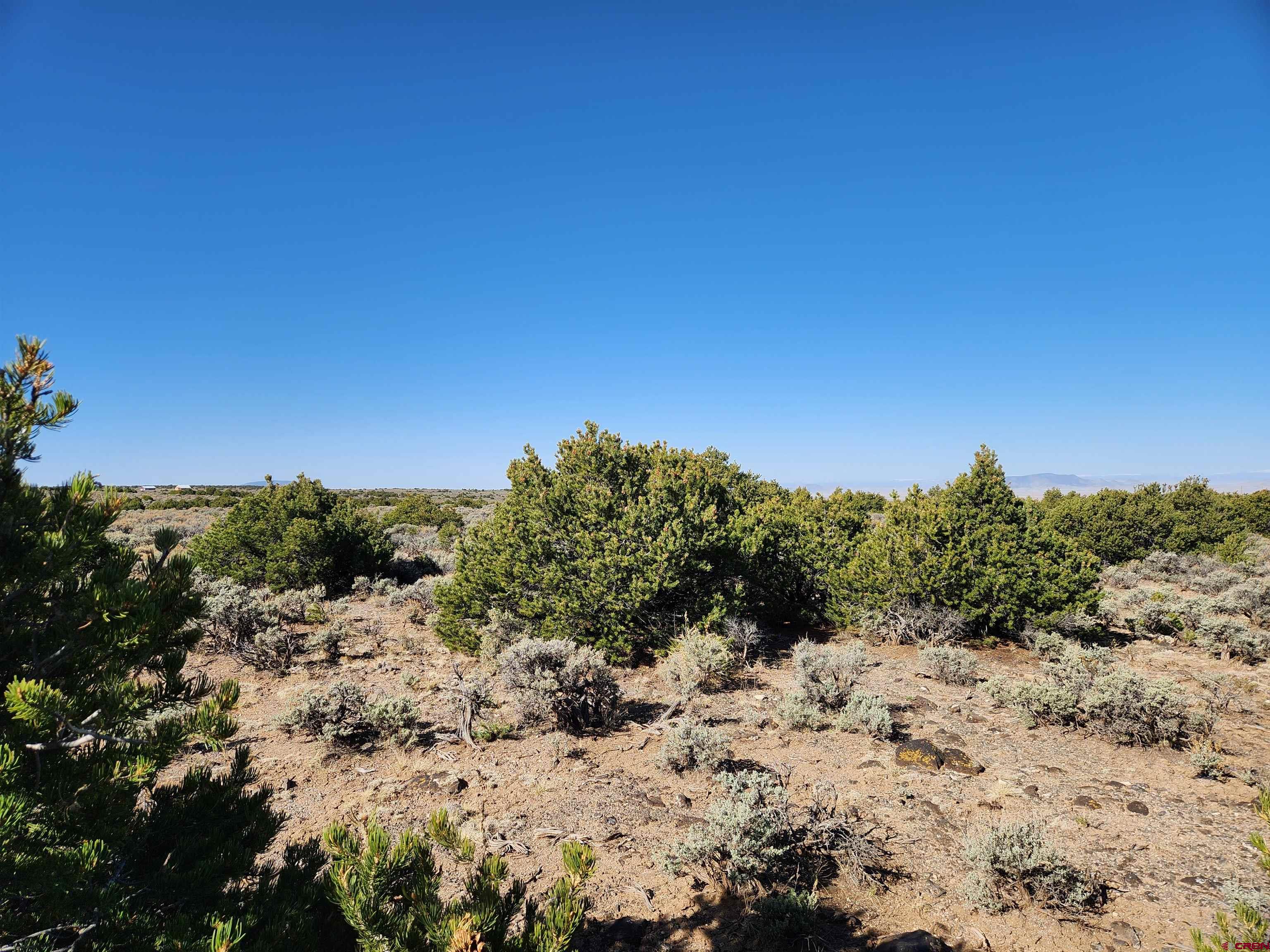 Lot 2-phase Melby Ranch San Luis, CO 81152 - Photo 4 of 6 a view of a covered with trees in the background