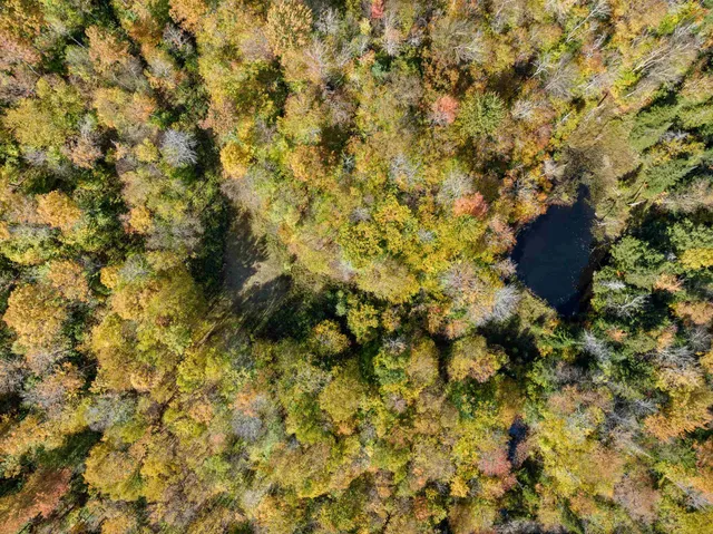 $220,000 | 0 Jones Lane, Wolcott, VT 05680