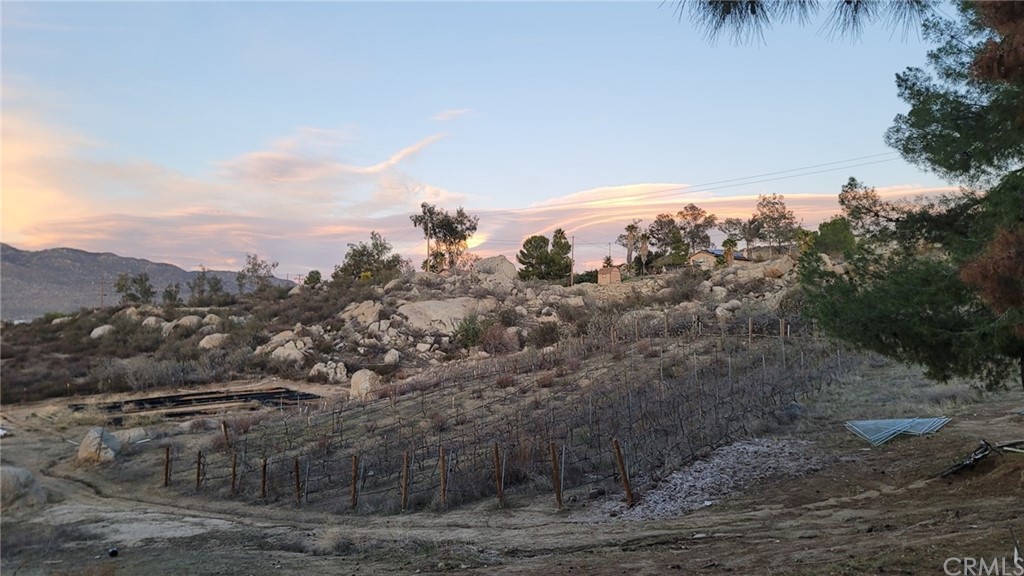 32450 Old Ranch Road Hemet, CA 92544 - Photo 1 of 1 a view of a dry yard with trees