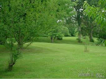 3467 Elliott Road Bunker Hill, IL 62014 - Photo 9 of 22